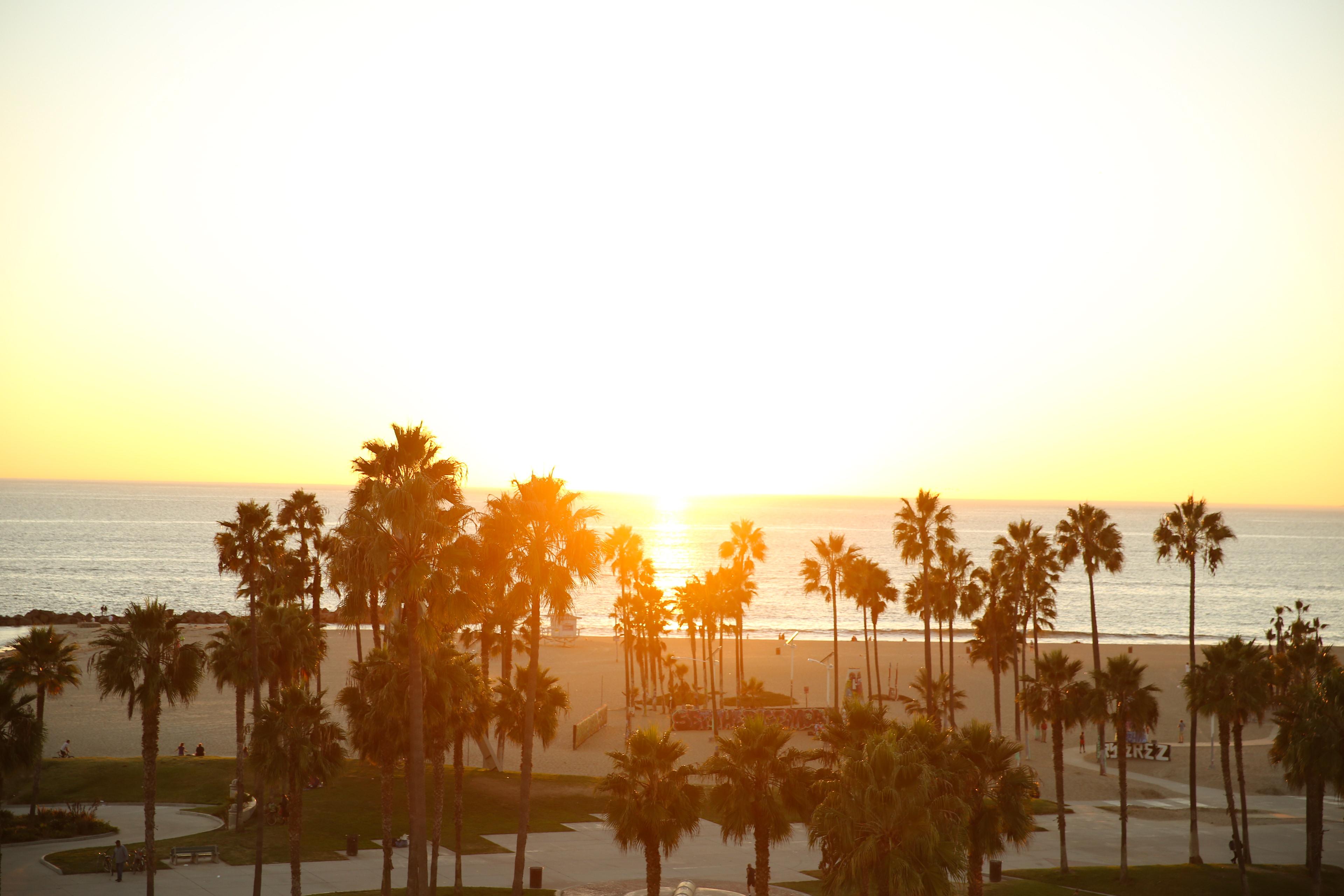 Erwin Venice 4*